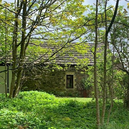 אברדין Gallery Cottage מראה חיצוני תמונה
